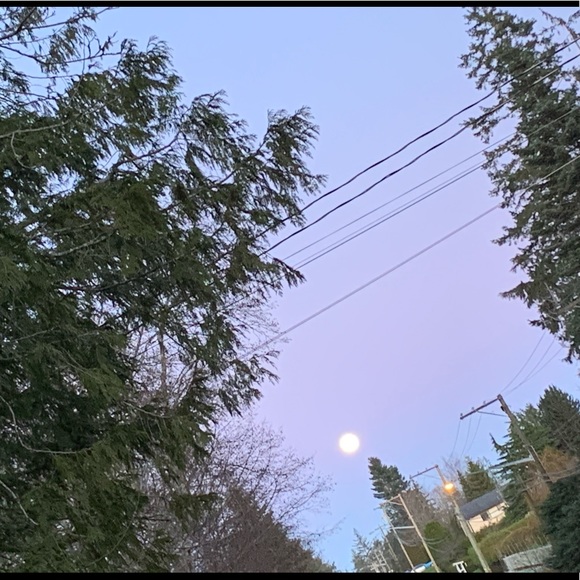 Meet your Posher, Natalie - Picture 1 of 1